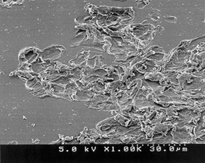 SEM at x1000 of Sample 5 showing clearly pits and blemishes on the Melinex.