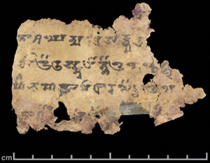 Sanskrit fragment